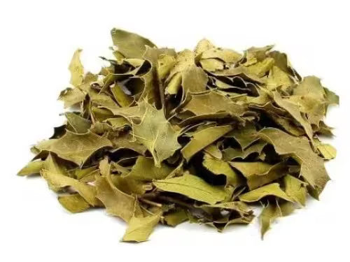 Chá De Espinheira Santa 50g