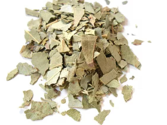 Chá Eucalipto 50g